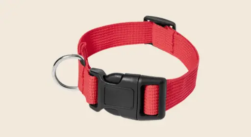 Merchandising para mascotas: collar rojo para mascotas
