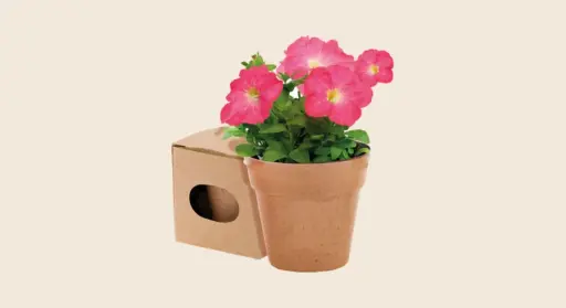 Regalos y premiums personalizados: maceta con planta y flores rosas